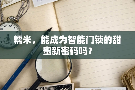 糯米，能成为智能门锁的甜蜜新密码吗？