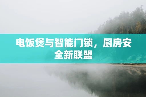 电饭煲与智能门锁，厨房安全新联盟