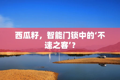 西瓜籽，智能门锁中的‘不速之客’？