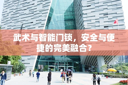 武术与智能门锁，安全与便捷的完美融合？