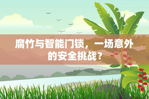 腐竹与智能门锁，一场意外的安全挑战？
