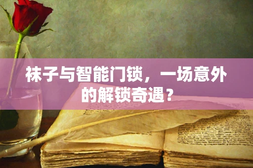 袜子与智能门锁，一场意外的解锁奇遇？