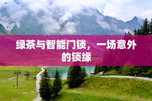 绿茶与智能门锁，一场意外的锁缘