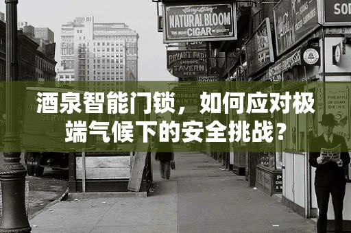 酒泉智能门锁，如何应对极端气候下的安全挑战？