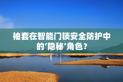 袖套在智能门锁安全防护中的‘隐秘’角色？