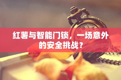 红薯与智能门锁，一场意外的安全挑战？