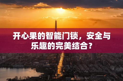 开心果的智能门锁，安全与乐趣的完美结合？
