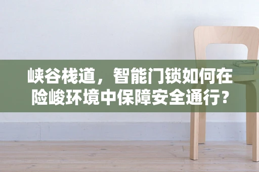 峡谷栈道，智能门锁如何在险峻环境中保障安全通行？