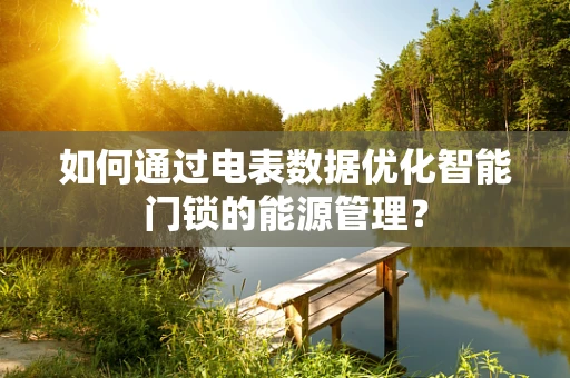 如何通过电表数据优化智能门锁的能源管理？