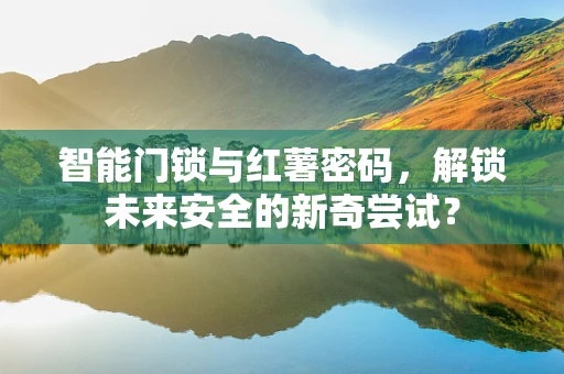 智能门锁与红薯密码，解锁未来安全的新奇尝试？