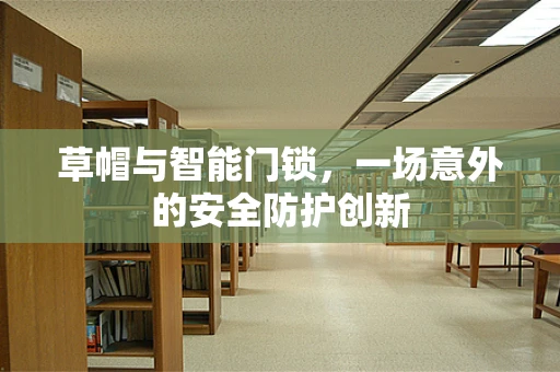 草帽与智能门锁，一场意外的安全防护创新