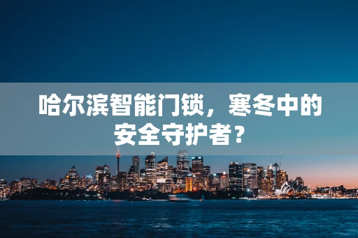 哈尔滨智能门锁，寒冬中的安全守护者？