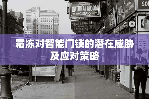 霜冻对智能门锁的潜在威胁及应对策略