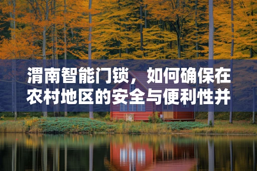 渭南智能门锁，如何确保在农村地区的安全与便利性并重？