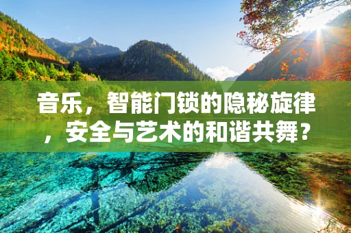 音乐，智能门锁的隐秘旋律，安全与艺术的和谐共舞？