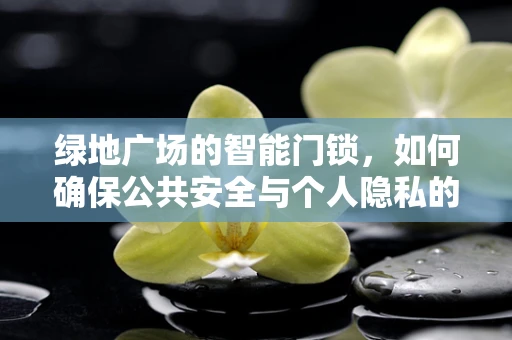 绿地广场的智能门锁，如何确保公共安全与个人隐私的平衡？