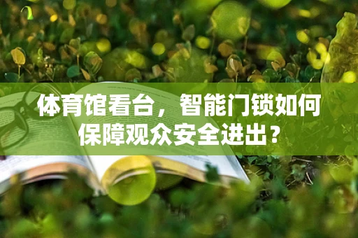 体育馆看台，智能门锁如何保障观众安全进出？