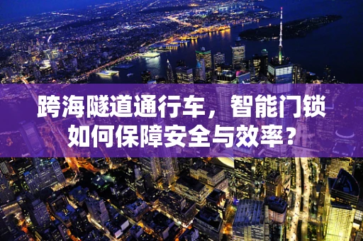 跨海隧道通行车，智能门锁如何保障安全与效率？