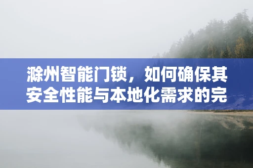 滁州智能门锁，如何确保其安全性能与本地化需求的完美融合？