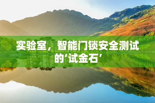 实验室，智能门锁安全测试的‘试金石’