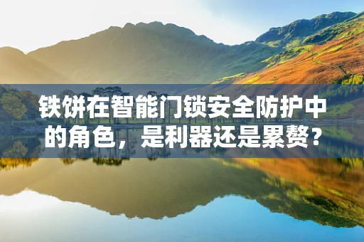 铁饼在智能门锁安全防护中的角色，是利器还是累赘？