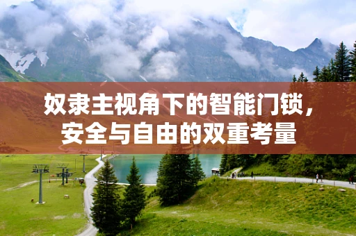 奴隶主视角下的智能门锁，安全与自由的双重考量