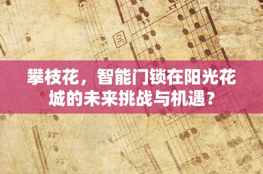 攀枝花，智能门锁在阳光花城的未来挑战与机遇？