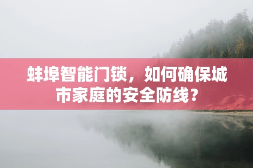 蚌埠智能门锁，如何确保城市家庭的安全防线？