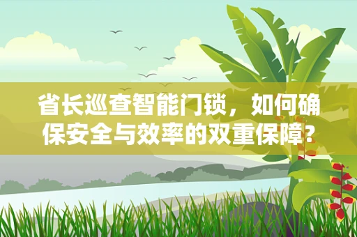 省长巡查智能门锁，如何确保安全与效率的双重保障？