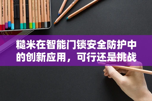 糙米在智能门锁安全防护中的创新应用，可行还是挑战？