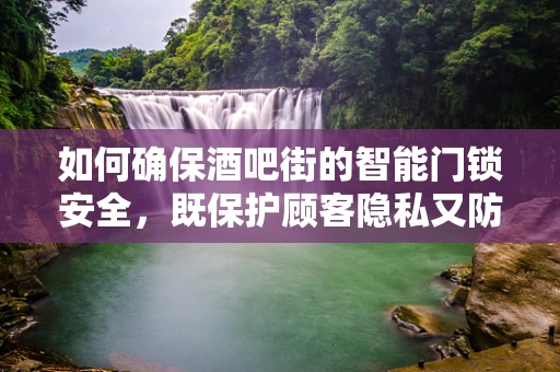 如何确保酒吧街的智能门锁安全，既保护顾客隐私又防止非法入侵？