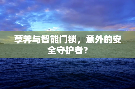 荸荠与智能门锁，意外的安全守护者？