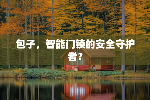 包子，智能门锁的安全守护者？