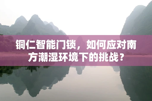 铜仁智能门锁，如何应对南方潮湿环境下的挑战？