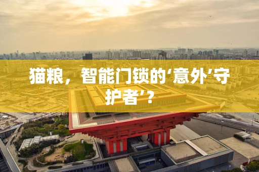 猫粮，智能门锁的‘意外’守护者’？
