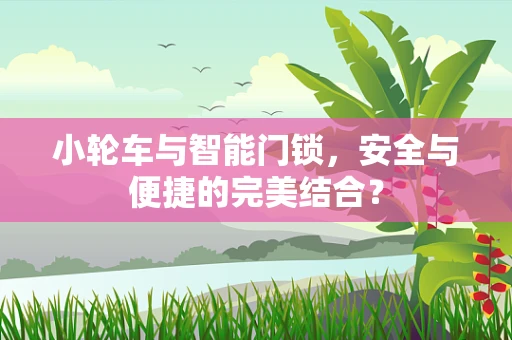 小轮车与智能门锁，安全与便捷的完美结合？