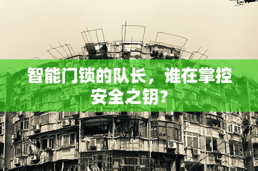智能门锁的队长，谁在掌控安全之钥？