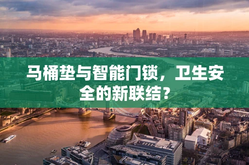 马桶垫与智能门锁，卫生安全的新联结？