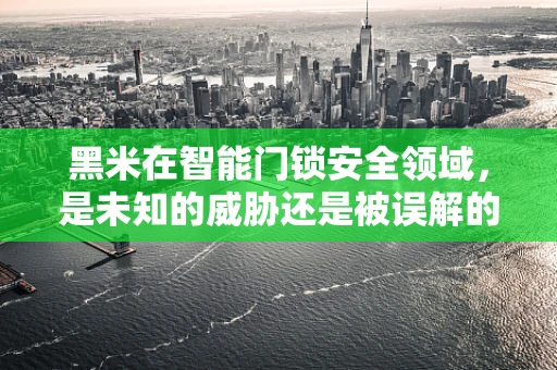 黑米在智能门锁安全领域，是未知的威胁还是被误解的盟友？