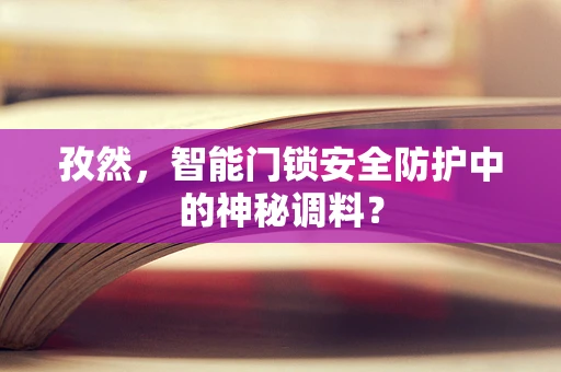 孜然，智能门锁安全防护中的神秘调料？