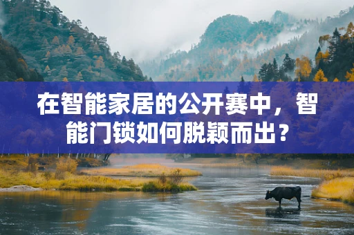 在智能家居的公开赛中，智能门锁如何脱颖而出？