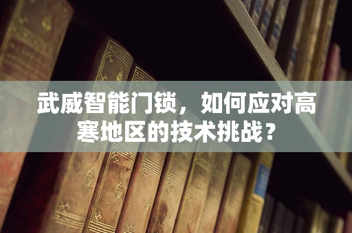武威智能门锁，如何应对高寒地区的技术挑战？