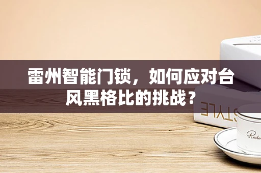 雷州智能门锁，如何应对台风黑格比的挑战？