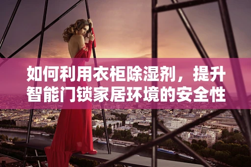 如何利用衣柜除湿剂，提升智能门锁家居环境的安全性？