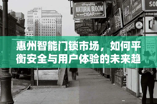 惠州智能门锁市场，如何平衡安全与用户体验的未来趋势？