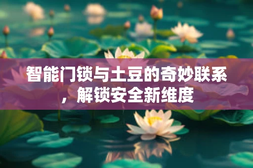 智能门锁与土豆的奇妙联系，解锁安全新维度