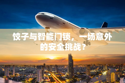 饺子与智能门锁，一场意外的安全挑战？