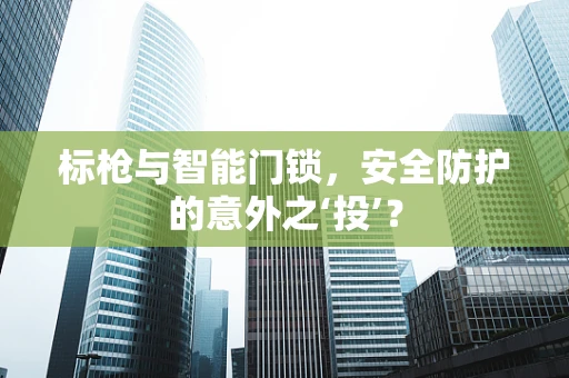 标枪与智能门锁，安全防护的意外之‘投’？