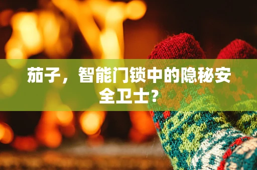 茄子，智能门锁中的隐秘安全卫士？