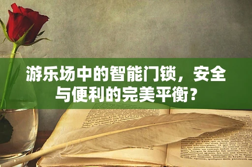 游乐场中的智能门锁，安全与便利的完美平衡？